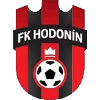 home team logo
