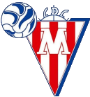 home team logo