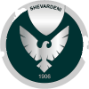 home team logo