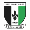 home team logo
