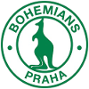 home team logo