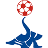 home team logo