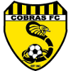 home team logo