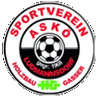 home team logo