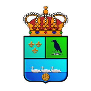 home team logo