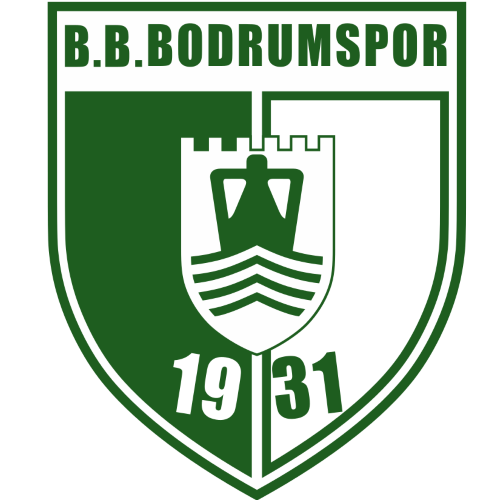home team logo