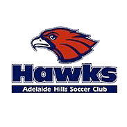 home team logo
