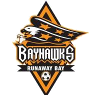 home team logo