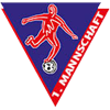 home team logo