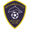 away team logo