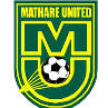 home team logo