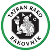 home team logo