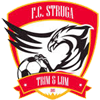 home team logo