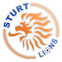 home team logo
