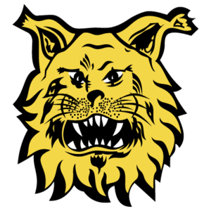home team logo