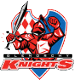 home team logo