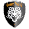 home team logo