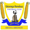 home team logo