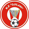 home team logo