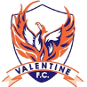 home team logo