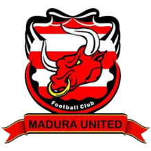 home team logo