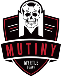home team logo