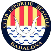 home team logo