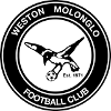 home team logo