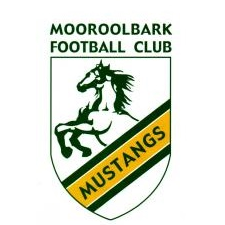 home team logo
