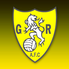 home team logo
