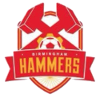 home team logo