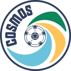home team logo