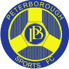 home team logo