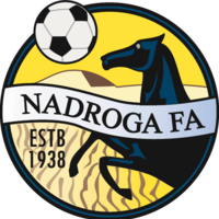 home team logo