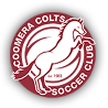 away team logo