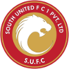 home team logo