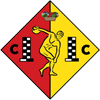 home team logo