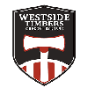 home team logo