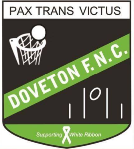 home team logo