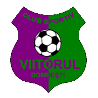 home team logo