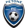 home team logo