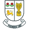 home team logo