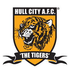 home team logo