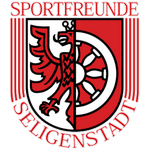 home team logo