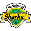 home team logo