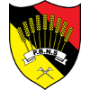 home team logo