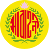 home team logo