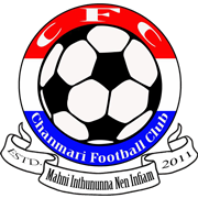 home team logo