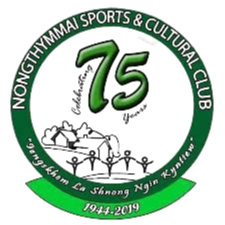 home team logo