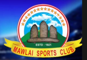 home team logo